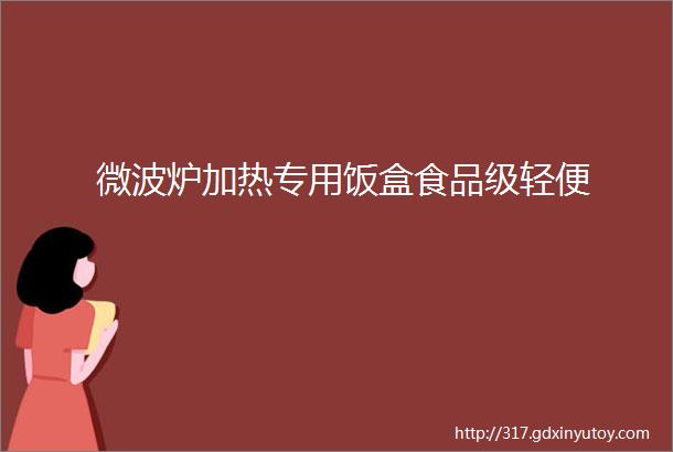 微波炉加热专用饭盒食品级轻便